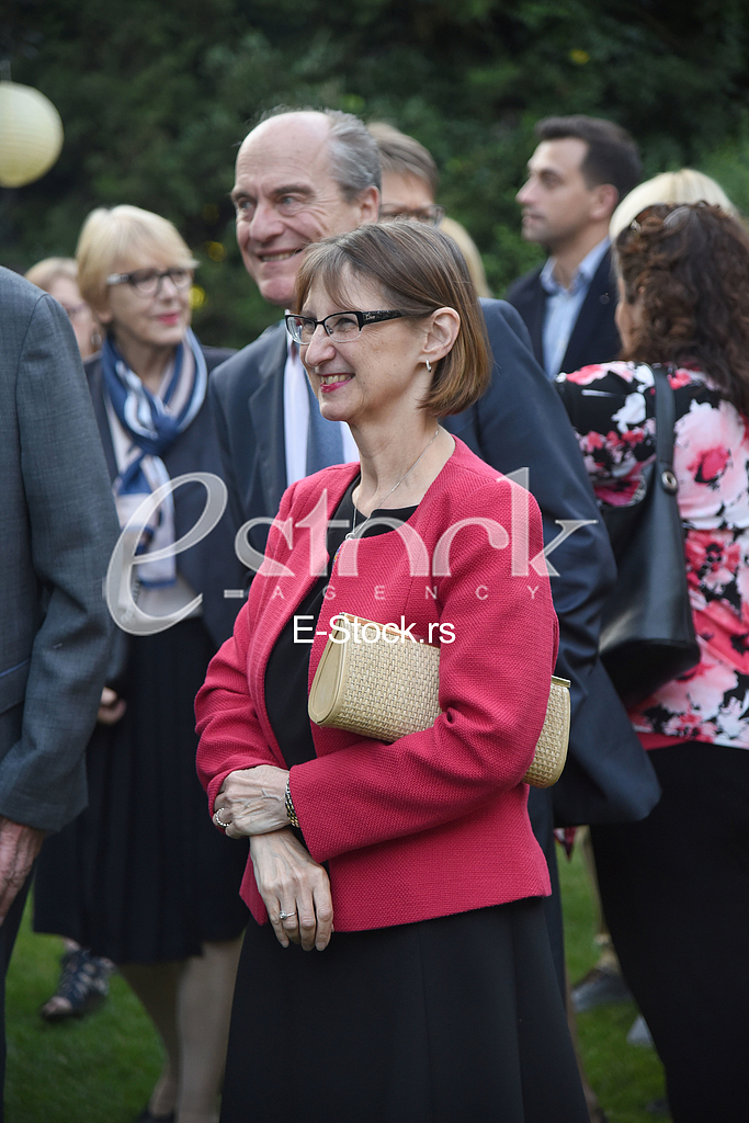 Summer party in the German embassy