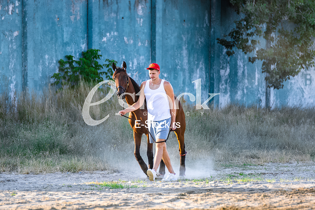 KONJSKE TRKE - 100. Srpski Galopski Derbi