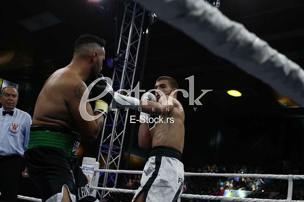 dragan markovic palma, jagodina, bokserski turnir, veljko raznatovic