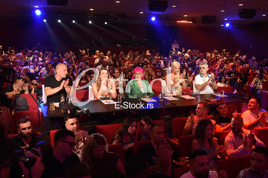 ziri Desingerica Zorica Brunclik Viki Miljkovic Bosanac Jelena Karleusa