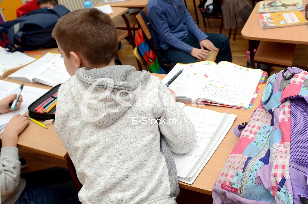 The elementary school Vuk Karadzic
