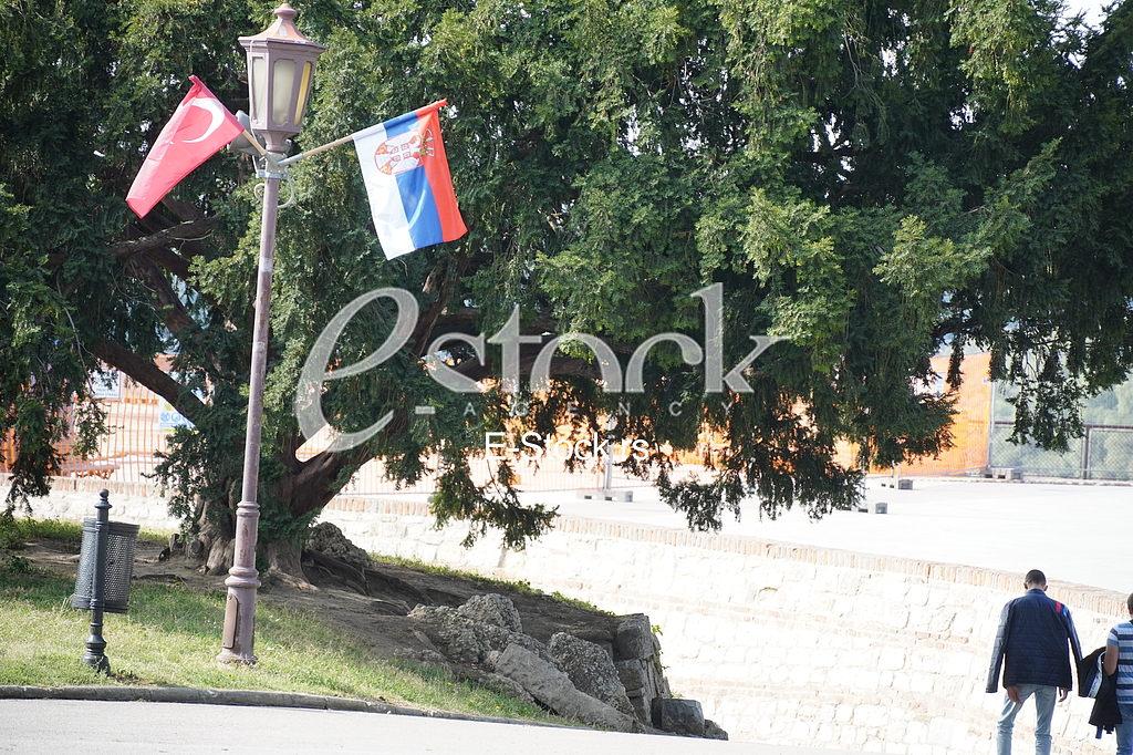 Zastave Srbije i Turske