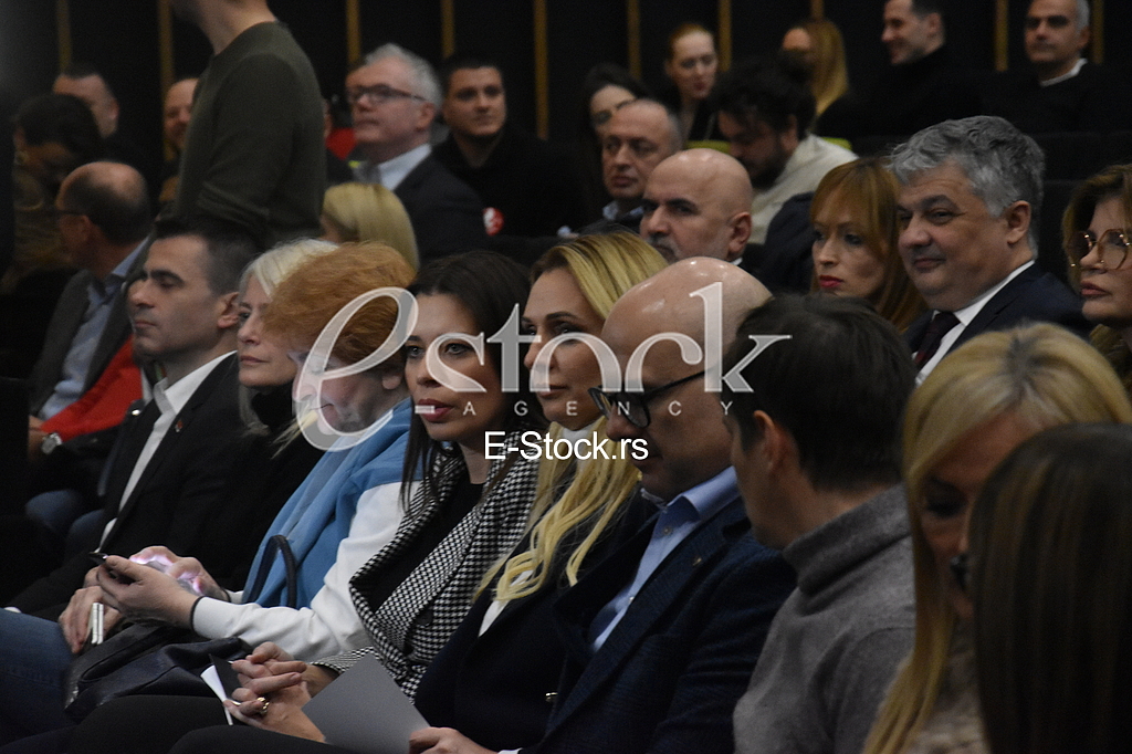 Milos Vucevic i Ana Brnabic
