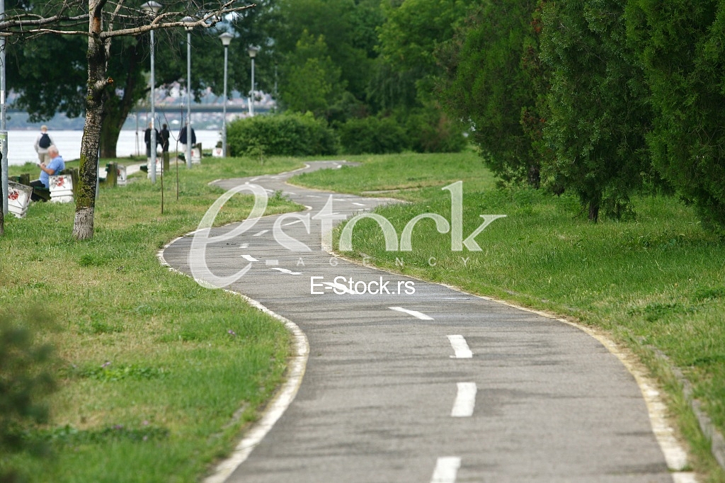 Footpath reached in trees and park