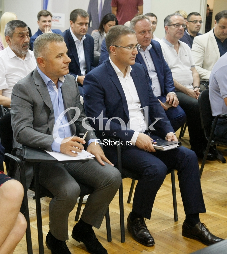 The session of the central committee SNS