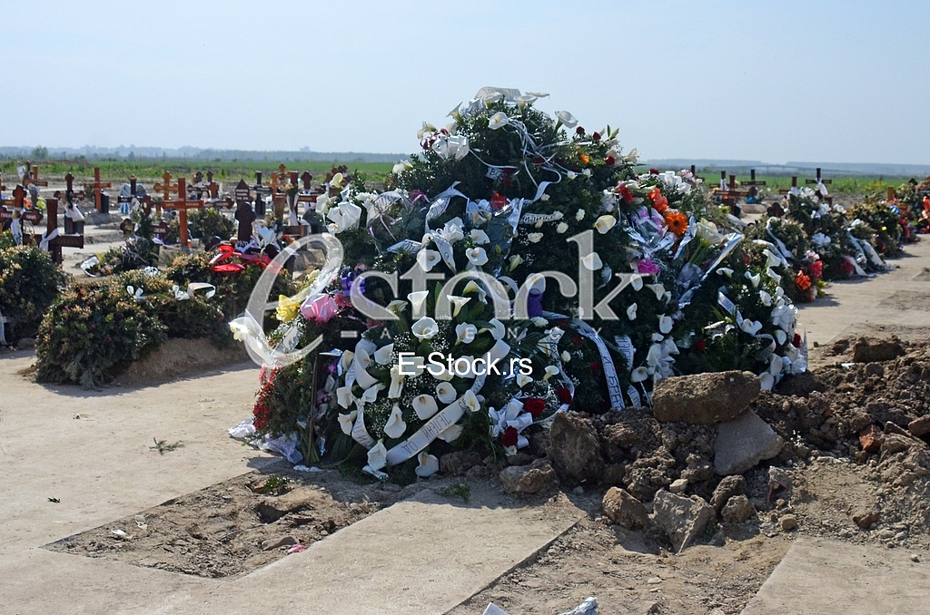 Buried Jelena Marjanovic