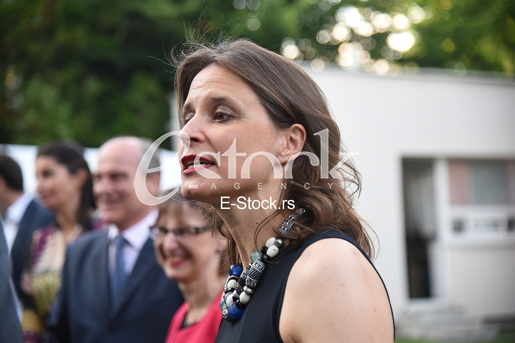 Summer party in the German embassy