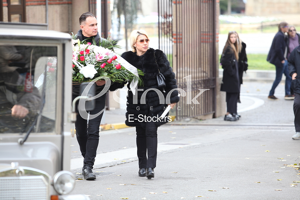 jovana jeremic dragan stankovic