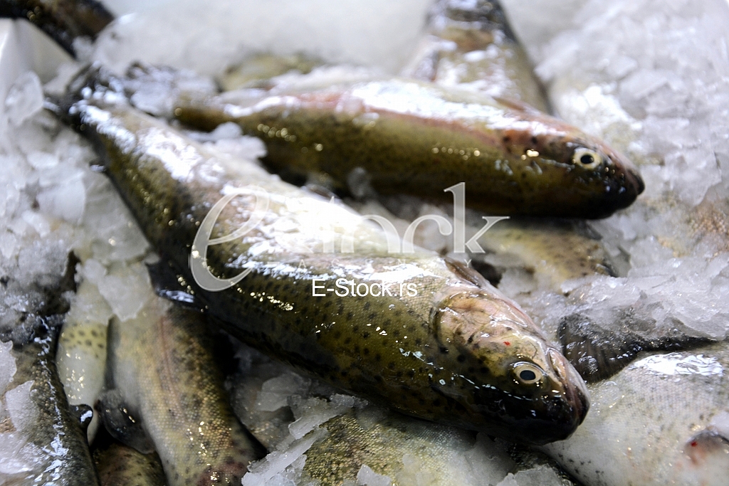 Preparing fish for eating.