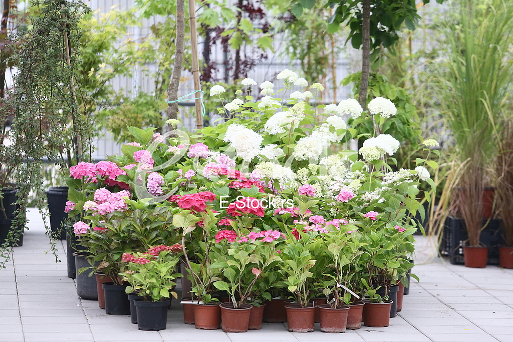 Sajam hortikulture