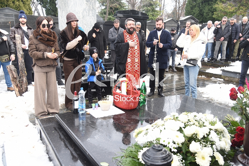Ceca Raznatovic Bogdana Lidija Ocokoljic
