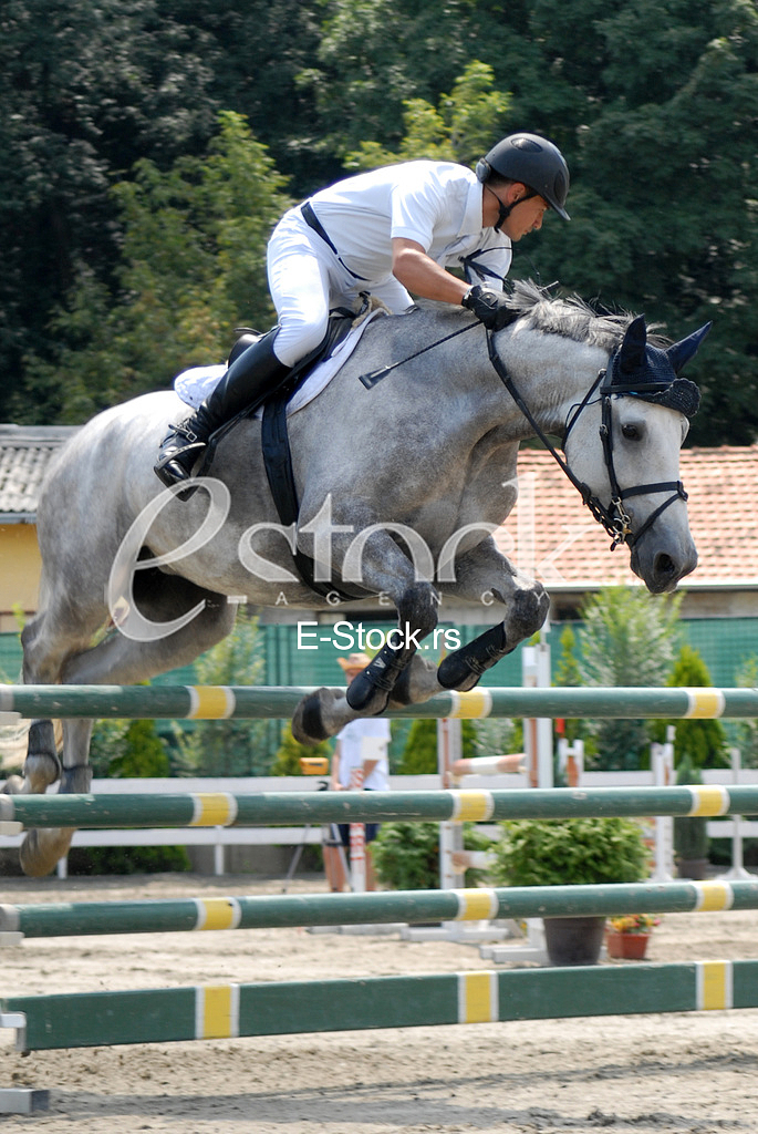 Equestrian Sport