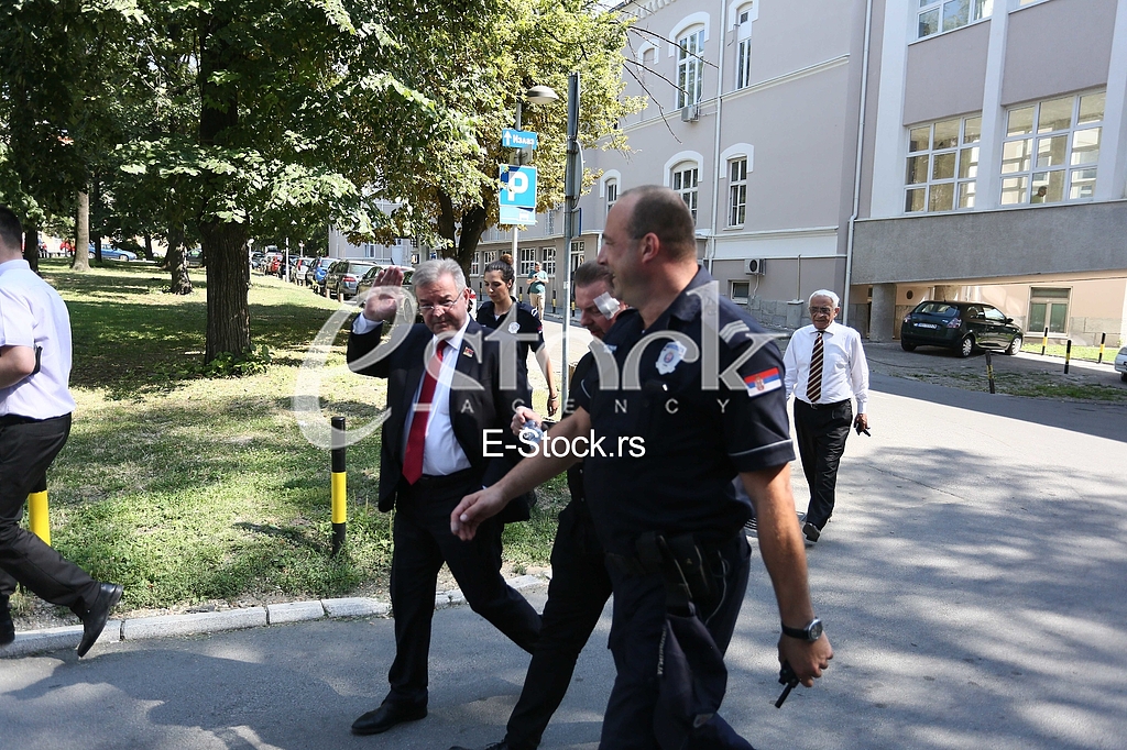 Dragomir Karic Simon de Karic