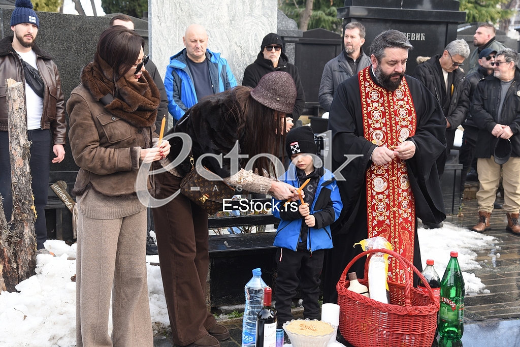 Ceca Raznatovic Bogdana