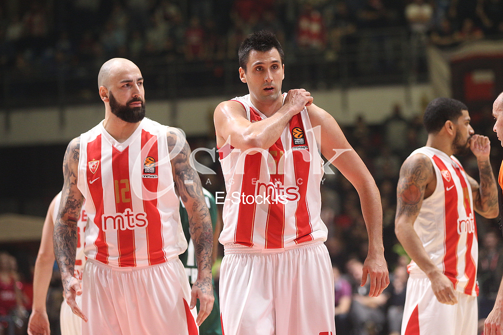 CRVENA ZVEZDA vs PANATHINAIKOS ATHENS