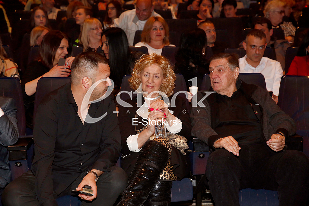 Dejan Petrovic, Lepa Lukic i Milutin Mrkonjic