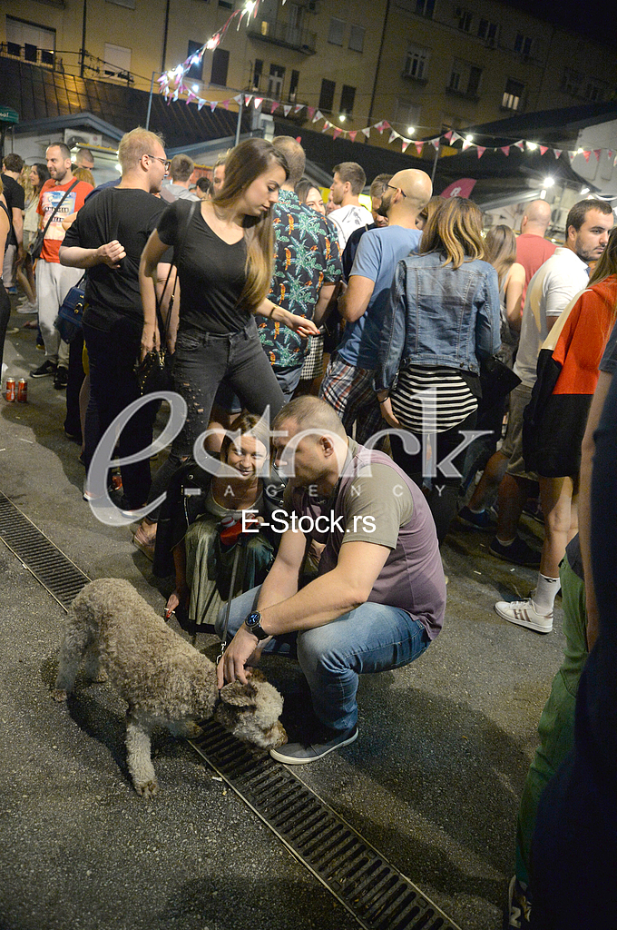 Beogradski Nocni Market