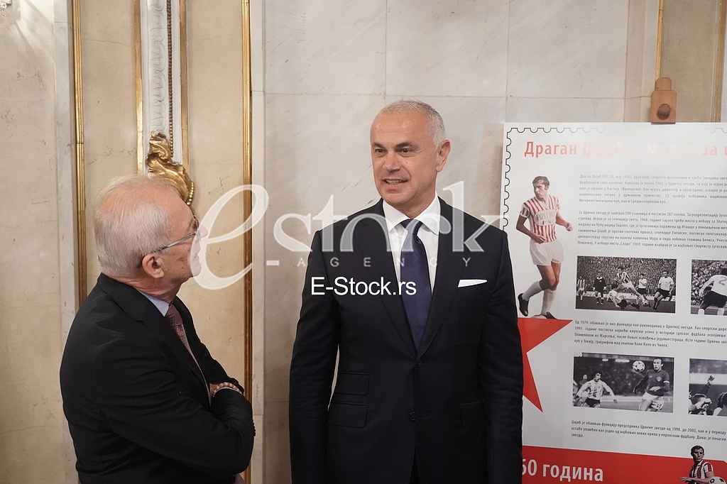 Svetozar Mijailovic i Zvezdan Terzic