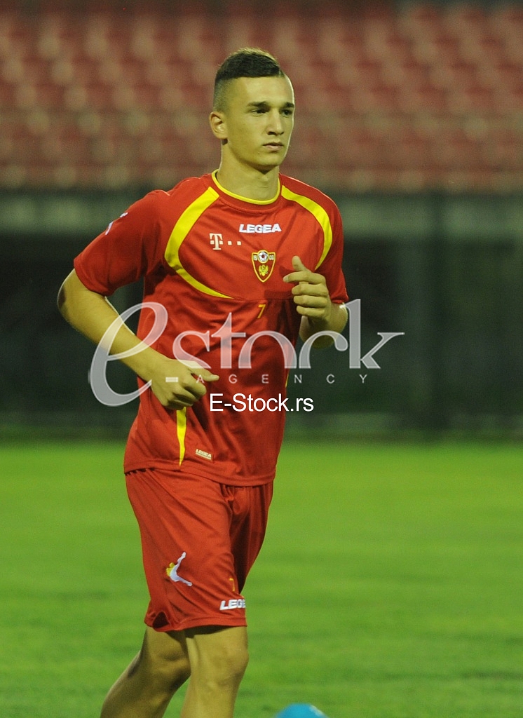 Stanisa Mandic