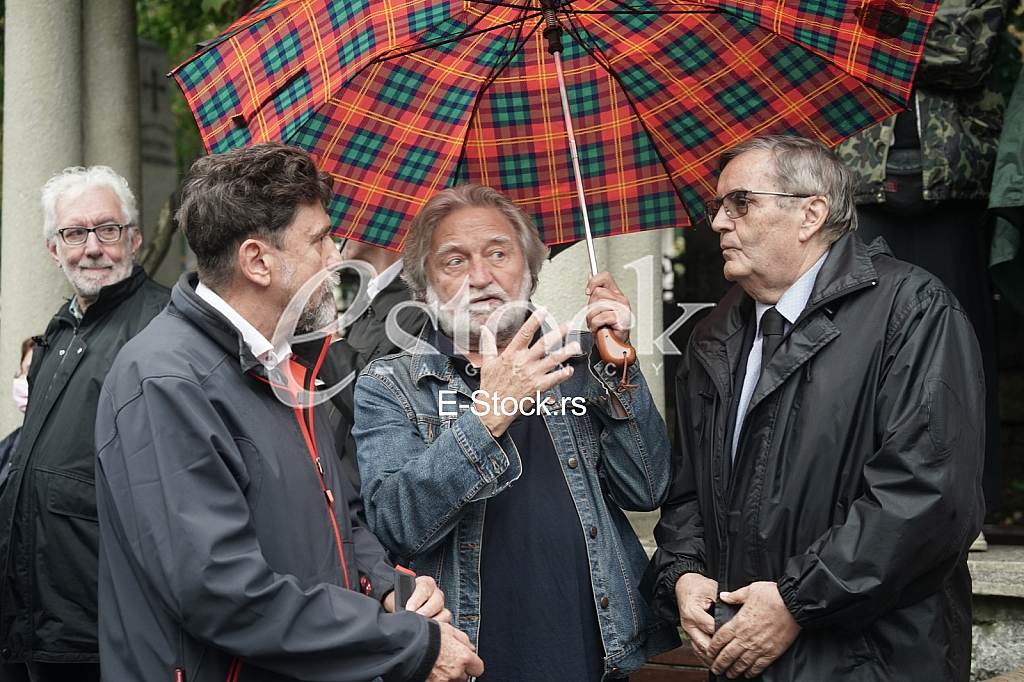 Radoslav Zelenovic Radoslav Zelenovic