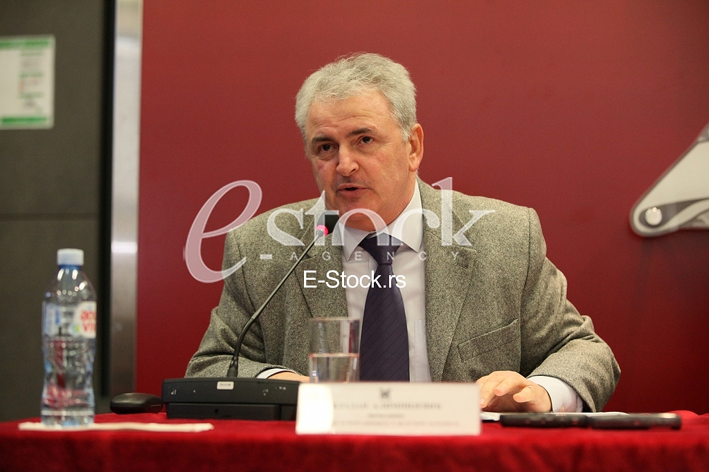 Press Conference,Municipality Vracar,Vladan Alimpijevic 