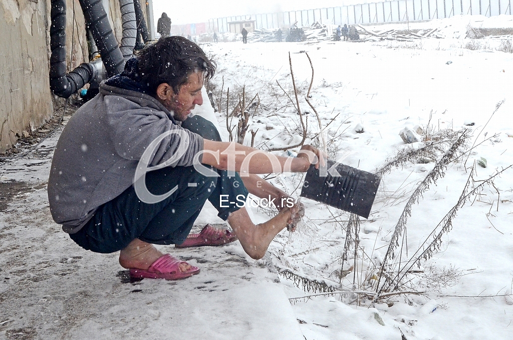 Migrants 
