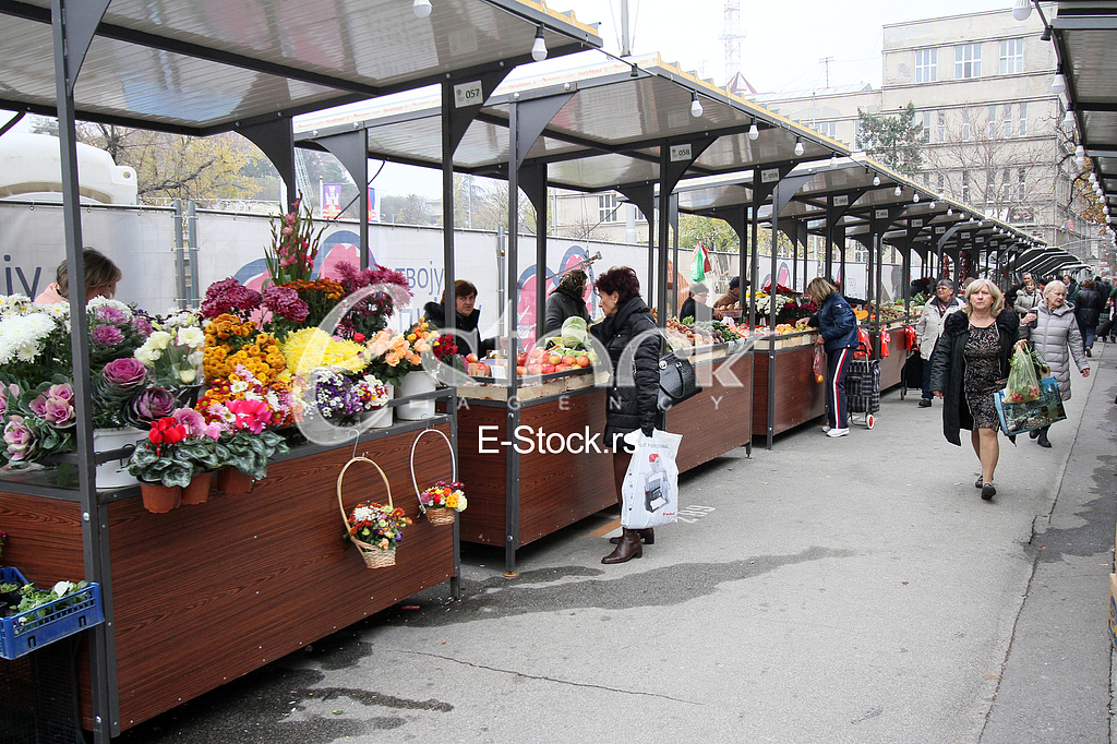  Market Palilula