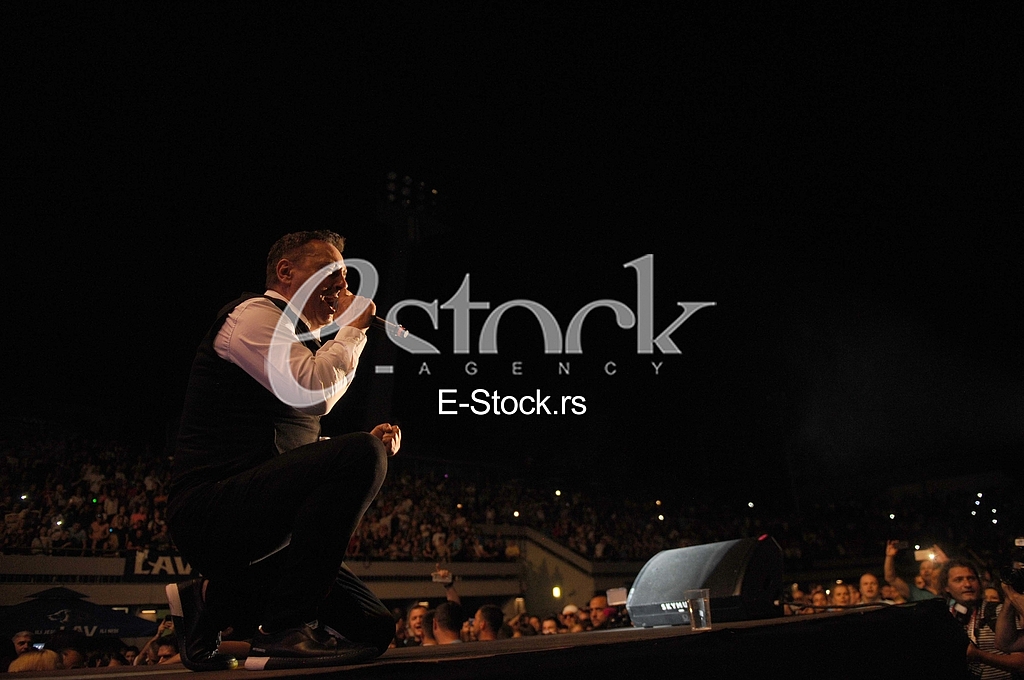 Sinan Sakic koncert