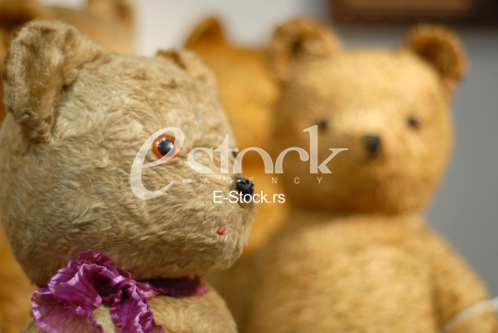 Exhibition teddy bears toys