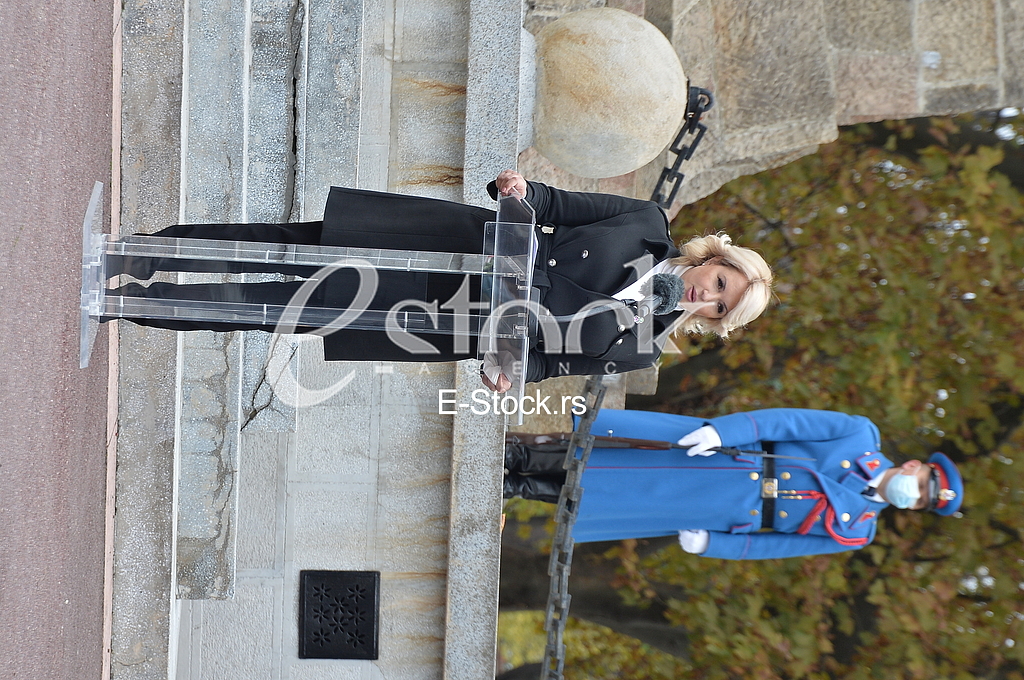 Darija Kisic Tepavcevic