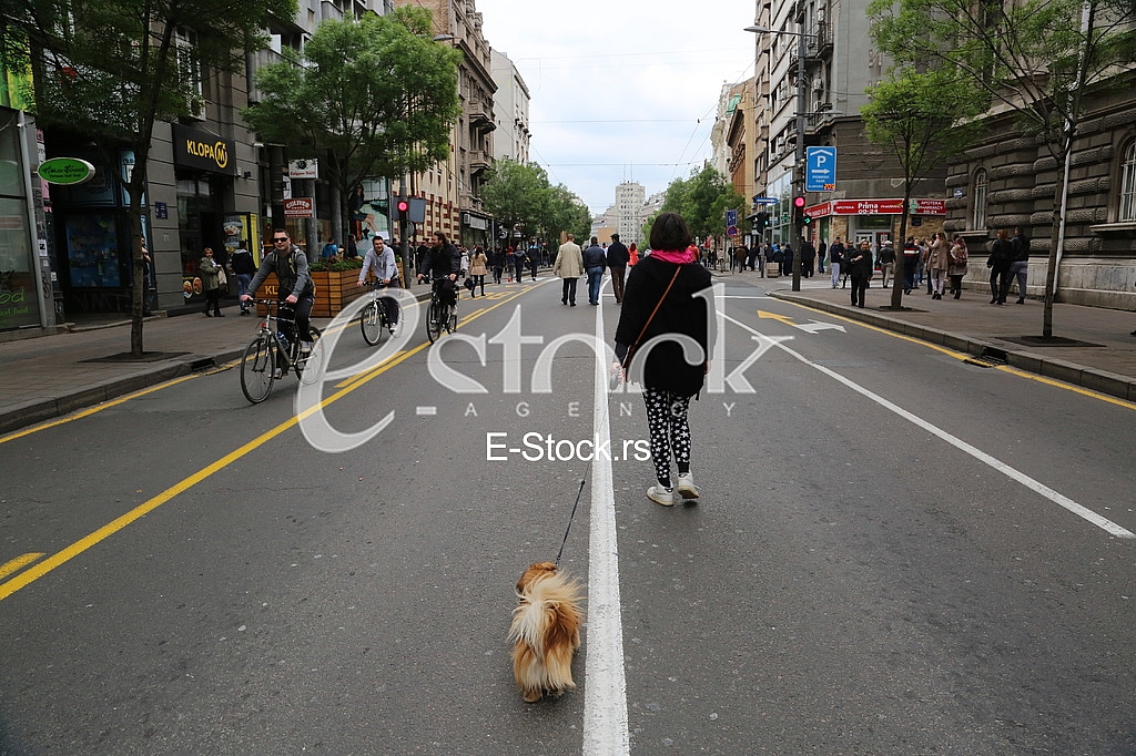 Protest political opposition in Serbia Protest political opposition in Serbia