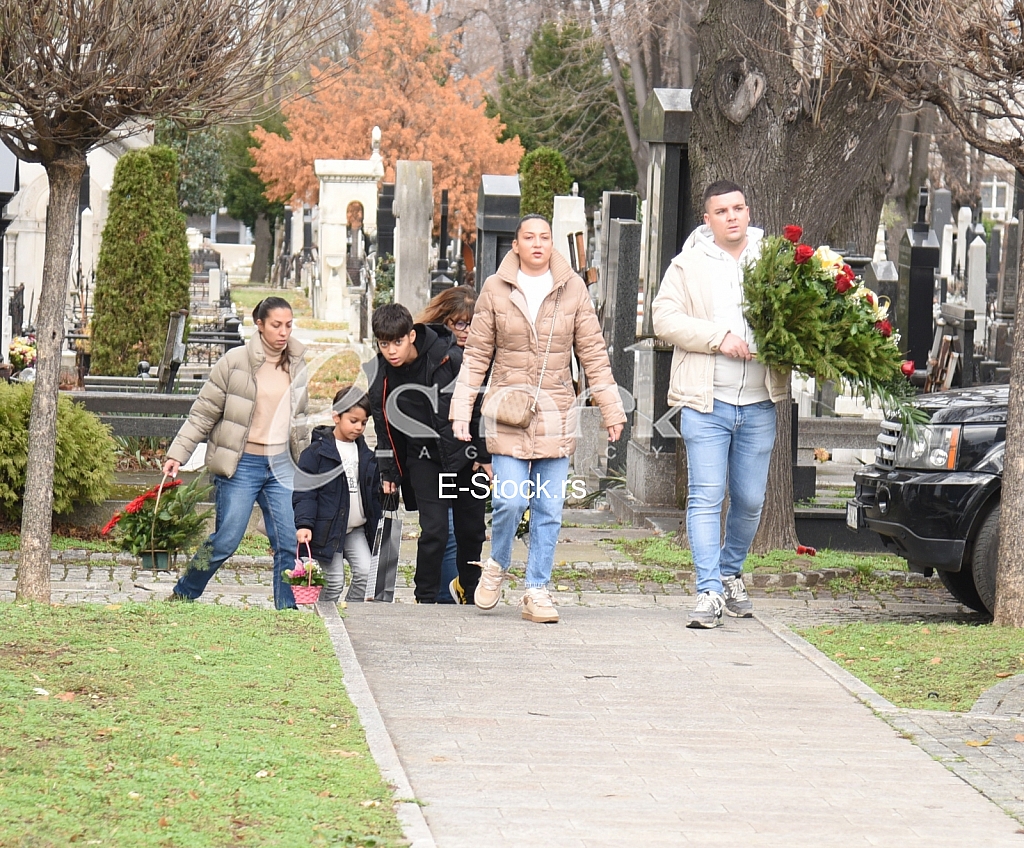 Marija Ramadanovski Ana Ramadanovski Stefan Davidovic