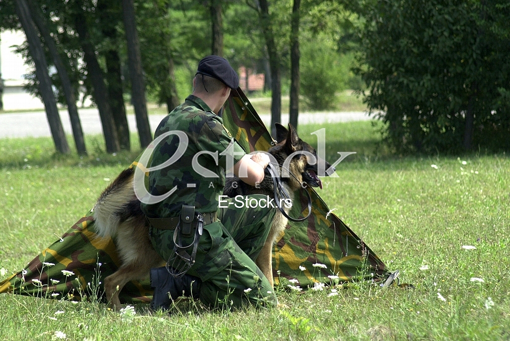 Army of Serbia
