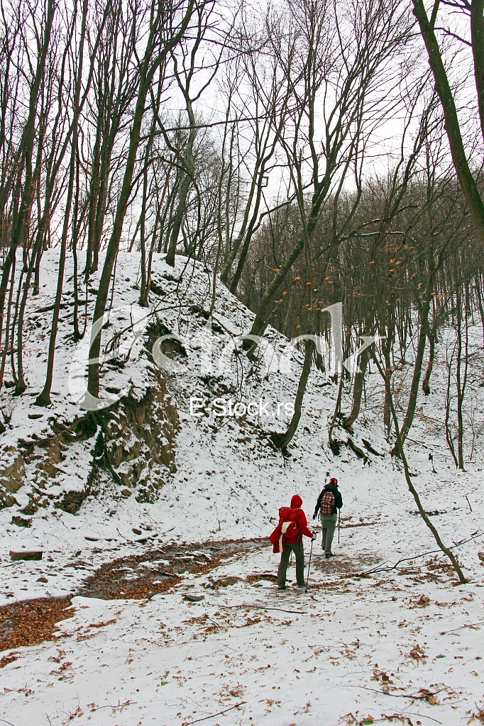 Fruska gora