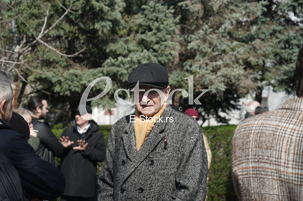Svetozar Cvetkovic