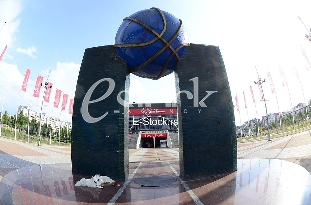 Stark arena
