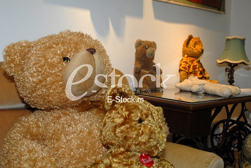 Exhibition teddy bears toys