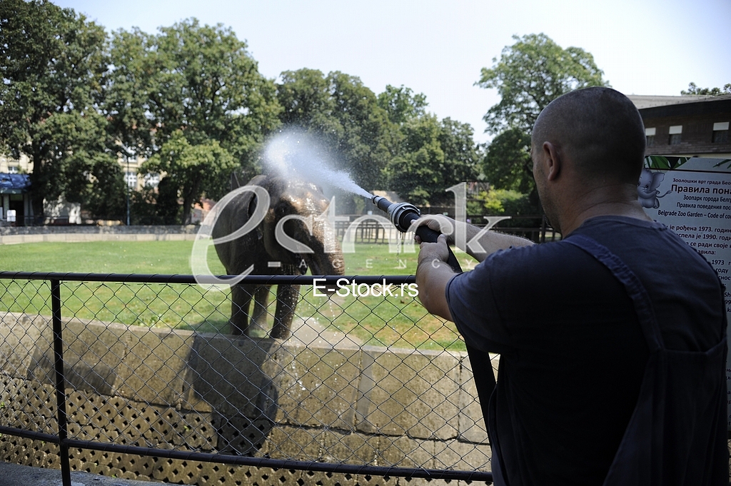 Belgrade zoo on summer day