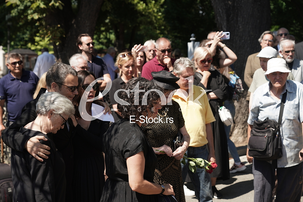 Porodica Branka Cvejica