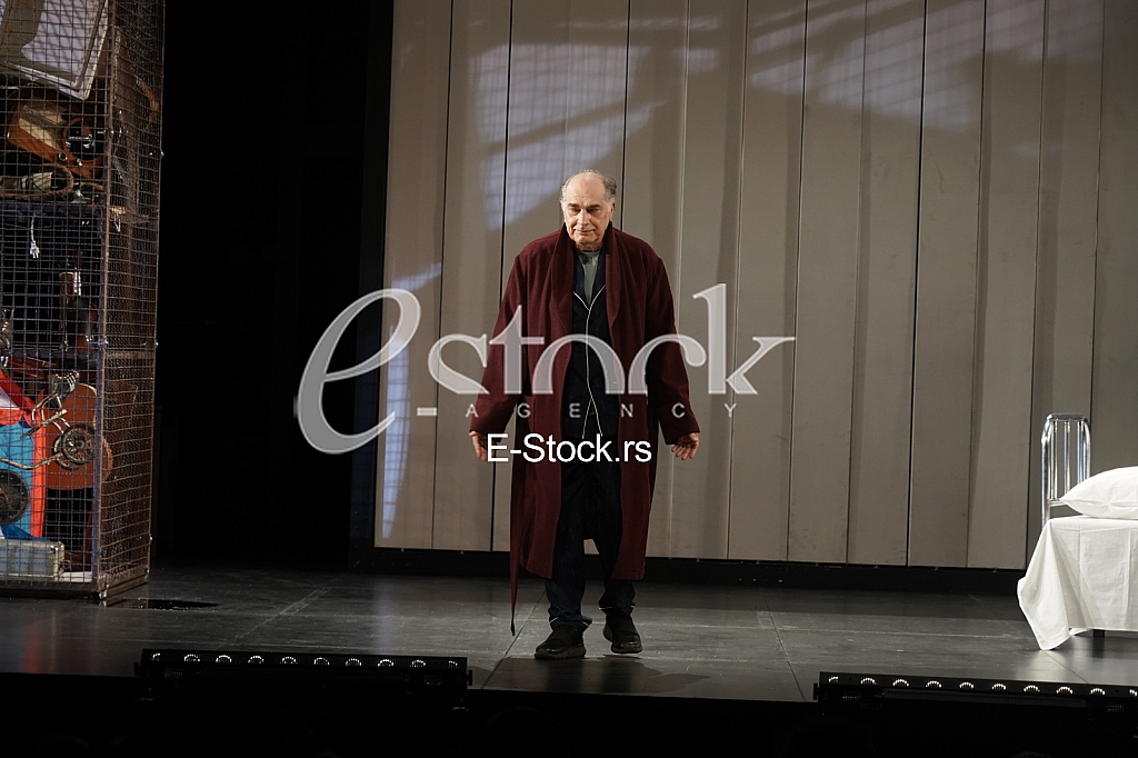 Vojislav Voja Brajovic