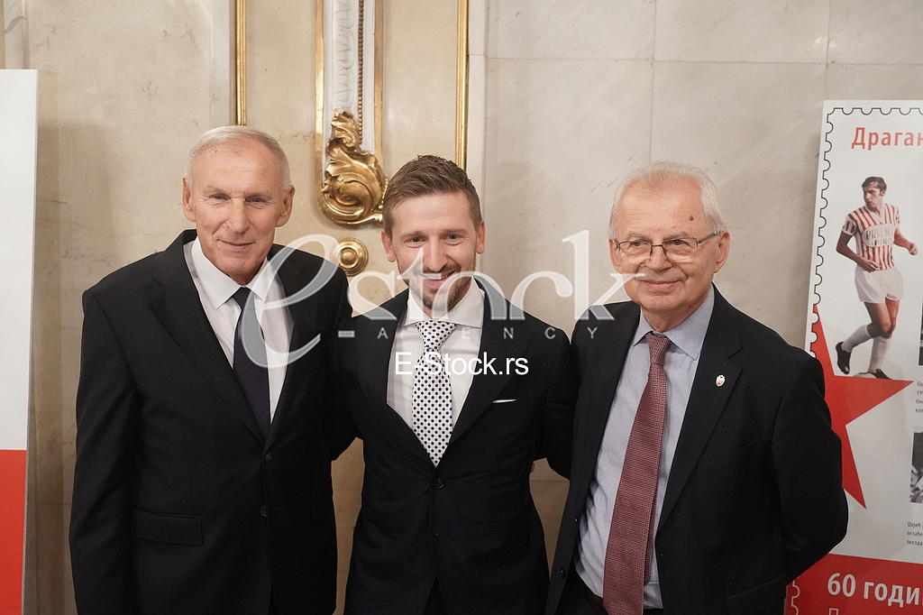 Dragan Dzajic, Marko Marin i Svetozar Mijailovic
