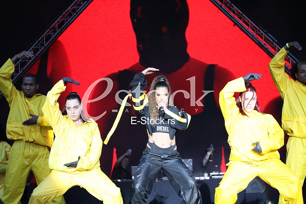 Milica Miladinovic Indodjija