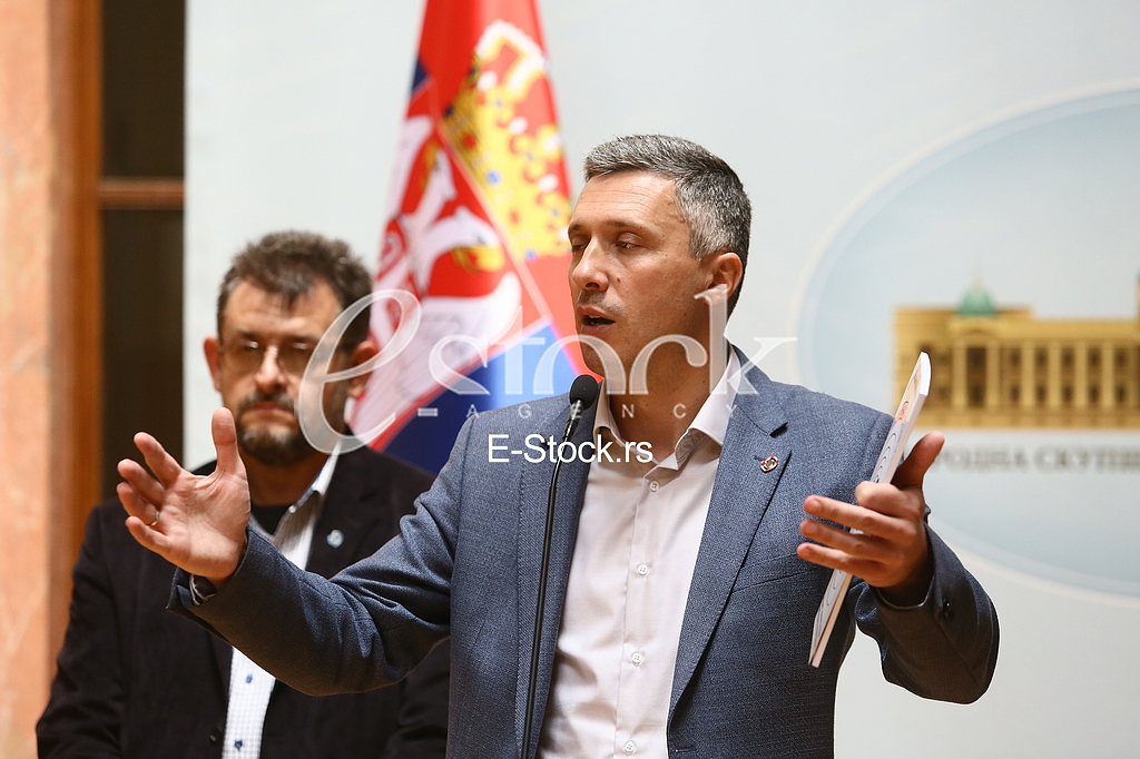 Dragan Vesovic, Bosko Obradovic