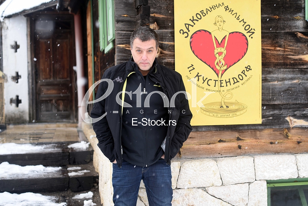 Djule_Van_Gogh_photo_e_stock_Katarina Cvijovic