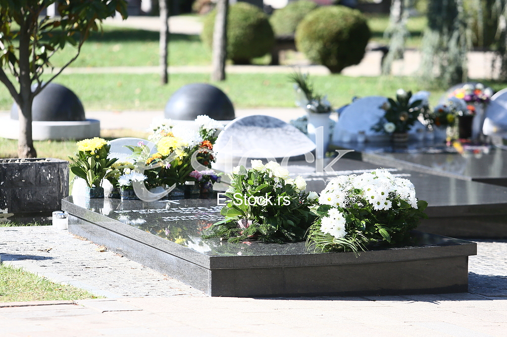 Pomen Mileni Dravic