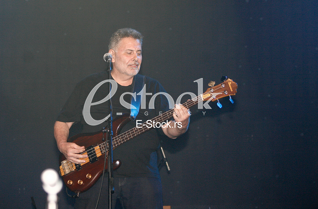 vlada divljan 60. rodjendan, koncert u savacentru