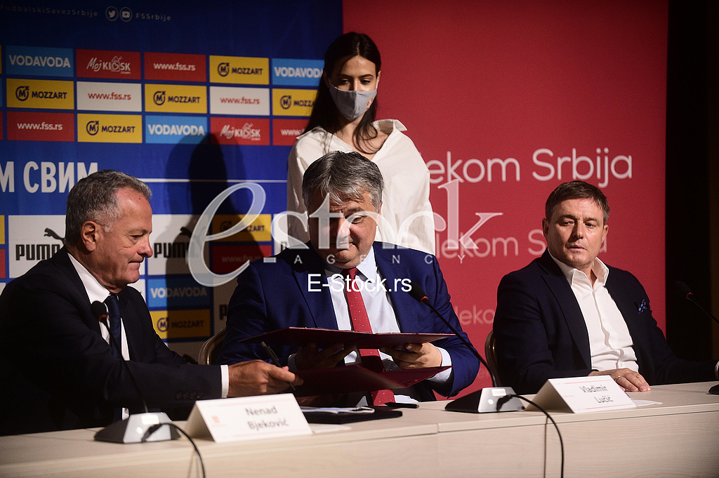 Fss telekom arena