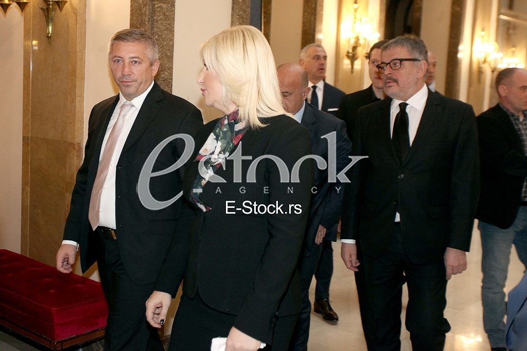 Komemoracija Mirko Butulija AMSS