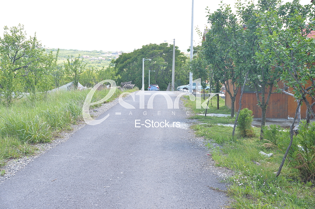 Zvezdara