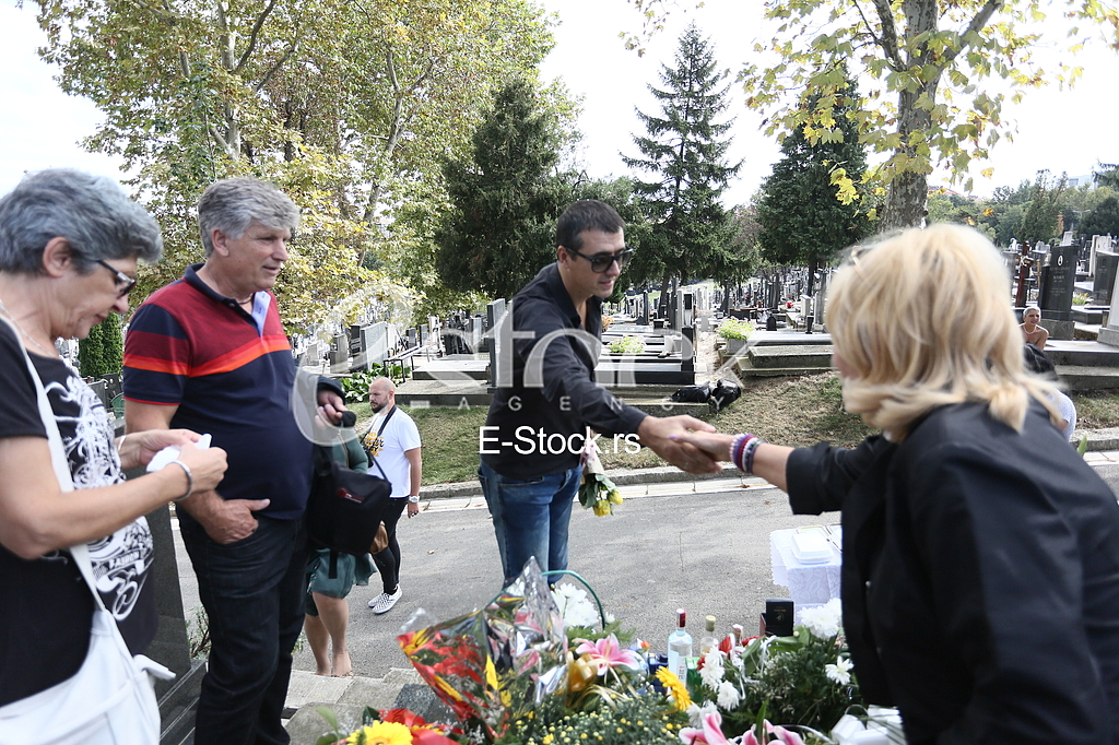 Marko Bulat Gordana Zdravkovic